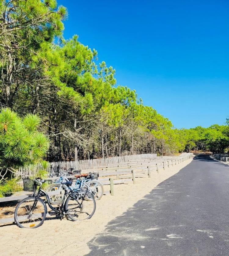 Chalet Du Bonheur - La Jenny Naturist Area Le Porge Dış mekan fotoğraf